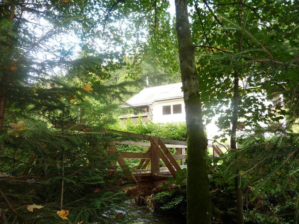 Apartment Schwarzwald Total Freudenstadt Bilik gambar